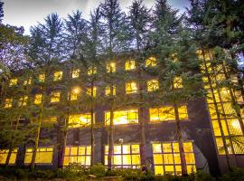 Hakuba Eagle Lodge，位于白马村的山林小屋