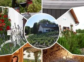 Kisleshegy Dörgicse Vendégház