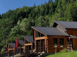Fisi Resort，位于佩奇的酒店