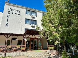 Hostel Horia，位于Plopeni的酒店