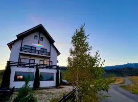 盆苏尼索莱旅馆