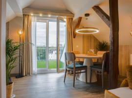 利比希酒店，位于吉森的酒店