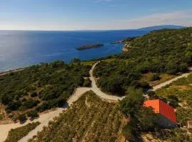 Holiday home in vineyard paradise Dingač Pelješac