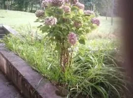 Casa vacanze le ortensie