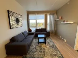 Arctic Aurora Suite in Center of Alta