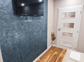 MDM APARTMENT CITY CENTER FELICITA DeLUXE，位于鲁塞的宠物友好酒店