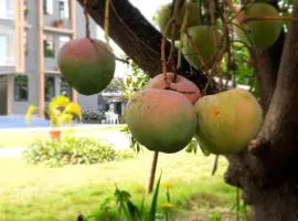 ELIRA Chez Dr Nkongolo