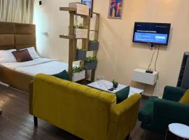 Cozy studio unit in lekki phase 1 - Kitchen, 24-7 light, wifi, Netflix，位于拉各斯的酒店