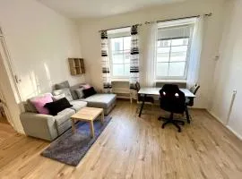 Geräumige Wohnung in Leoben