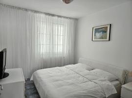 Victoriei 7，位于蒂米什瓦拉的自助式住宿