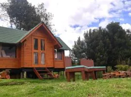 Tacama Cabañas y Camping