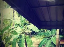 joli petite maison jungle