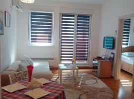 Dora Apartman，位于Mirijevo的酒店
