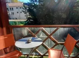 Le petit Park-studio-terrasse- piscine-WIFI FIBRE