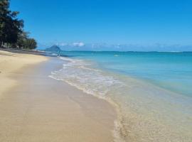 Villa Paradis à 100m de la plage，位于弗利康弗拉克的别墅