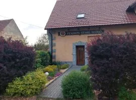 Penzion Staré Sedlo