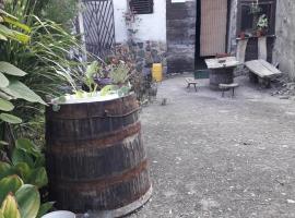 Seosko turisticko domacinstvo Nikolic-Zivkovic selo Ljubatovica，位于Čiflik的酒店