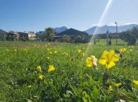 Luxury Pre-Pitched 2-4 Person Tent