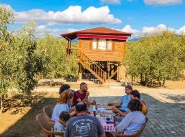 Oli Camping & Bungalows