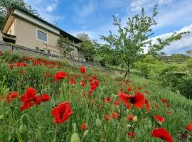 Casa Le Vignole - Aosta