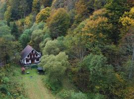 Casa de vacanta Satic Piatra Craiului La Doi viermi，位于萨提克的酒店