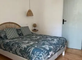Agréable petite maison au cœur du minervois
