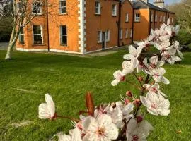 Clone House Event Villa