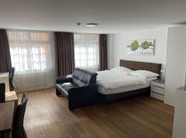 Aparthotel Splendid City Center，位于苏黎世的酒店