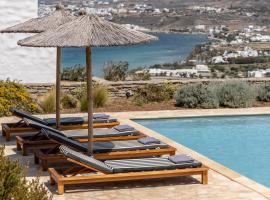 Acron Villas Paros，位于Kolympithres的别墅