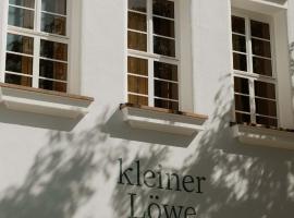 kleiner Löwe – Stadthotel Bregenz，位于布雷根茨的酒店