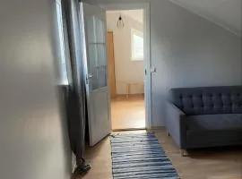 Hülgepesa