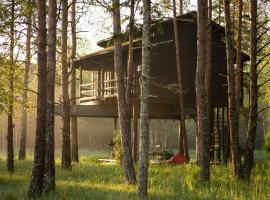 Sambliku Treehouse，位于Jõgisoo的山林小屋