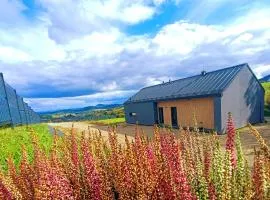 Rosochata 313 Domek w górach z Sauną Jacuzzi Basenem "Panieński" ruska Bania