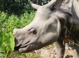 Kings jungle safari & Culture home stay