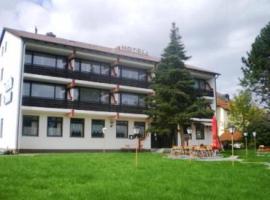Hotel Pfarrkirchner Hof，位于普法尔基尔兴的酒店