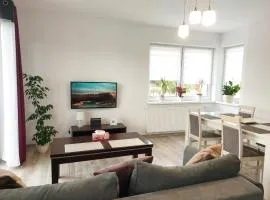 Apartament Jagielloński