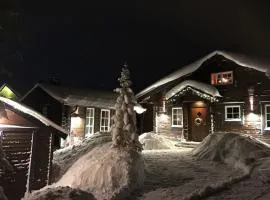 Awesome Home In Sälen With 2 Bedrooms And Sauna