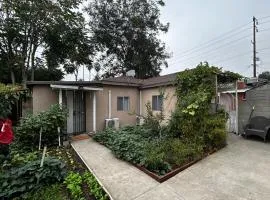 garden with Iron Gate, East Los Angeles 2b2b
