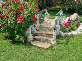 La casa dell'artista