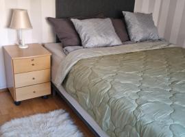 Kodikas koti，位于拉普阿的酒店