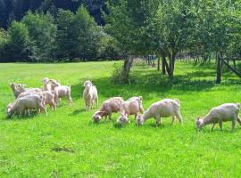 Au mohair des Alpy，位于Fougax-et-Barrineuf的酒店