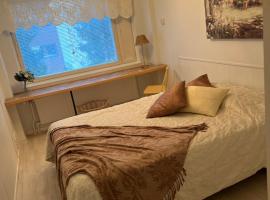 Matkustajakoti Evakko，位于塞伊奈约基的酒店