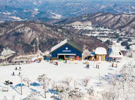 Phoenix Hotel Pyeongchang，位于平昌的酒店