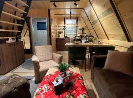 Apartman Durtanoski 1，位于Mali Mokri Lug的酒店