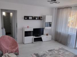 Apartament central pe pietonala nr2，位于胡内多阿拉的酒店