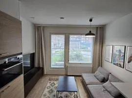 Modern City Apartment nearby Airport