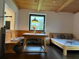 Haus Oberwössen Studio #2 Rechenberg mit Sauna
