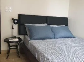 1BR Condo Iloilo