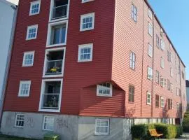 Brygga B&B Trondheim sentrum, privat rom i vårt hjem