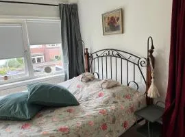 BeBaBops Homestay Utrecht